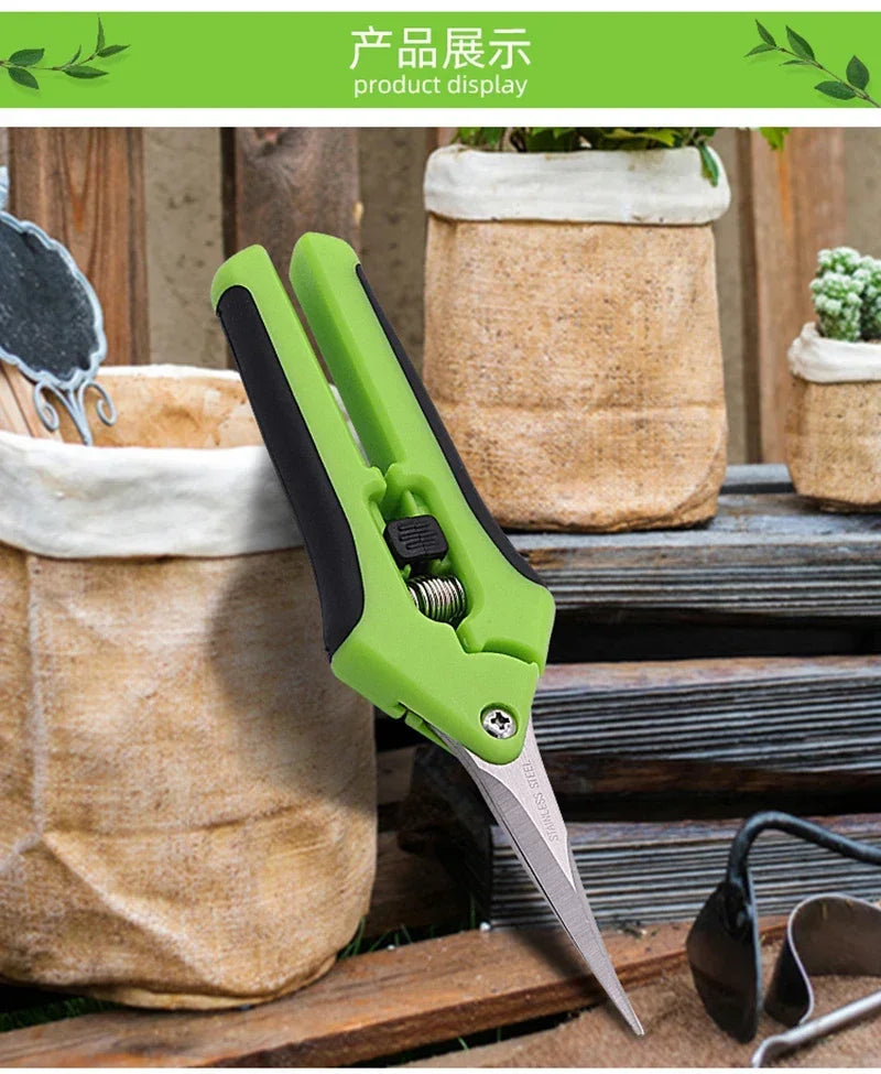 Tijeras de jardín para plantas en maceta, podadora de bonsái, tijeras de podar de flores para jardinería, recolector de frutas, huerto de granja disponible de acero inoxidable