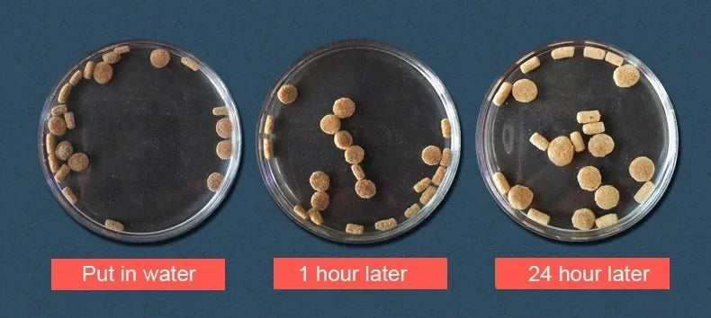 Yee-alimento para reptiles, Tortuga, hámster, peces secos, camarones, gusanos, pan, gusano, acuario, Comida para peces