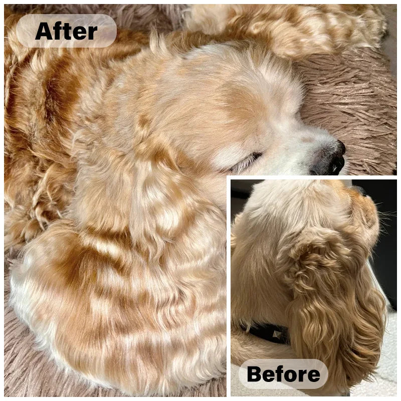 Champú para mascotas de 100 ml para palangres, desodorizante de larga duración para perros ligeros, perfecto para mantener abrigos blandos