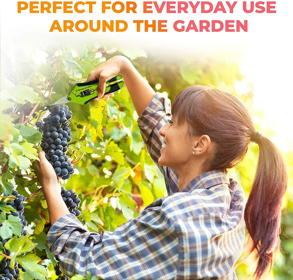 Tijeras de jardín para plantas en maceta, podadora de bonsái, tijeras de podar de flores para jardinería, recolector de frutas, huerto de granja disponible de acero inoxidable