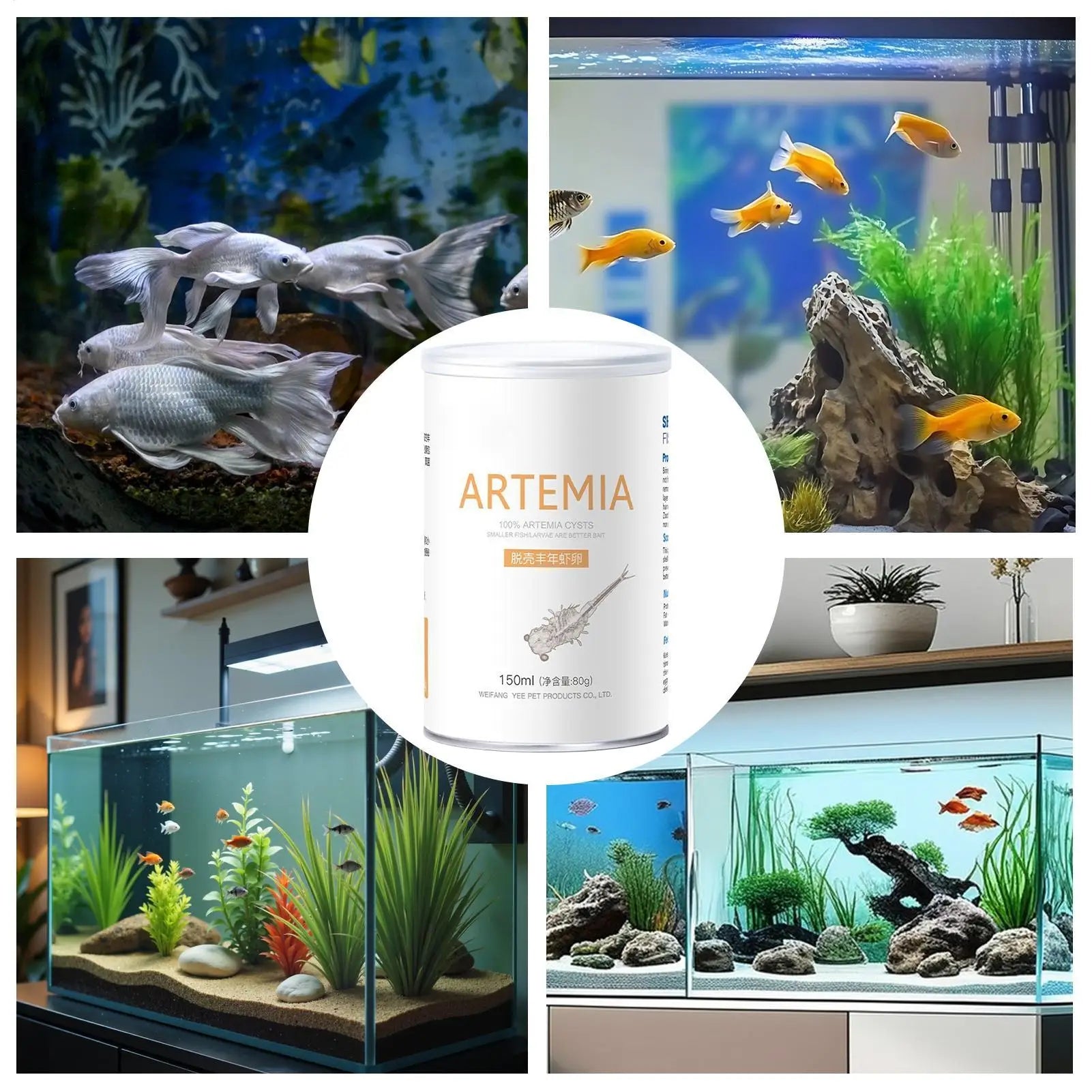 Alimento en Pellets para Peces, Dieta Nutricionalmente Equilibrada, Alimento para Peces, para Lubina, Trucha, Bagre, Pesca en Agua Salada y Agua Dulce
