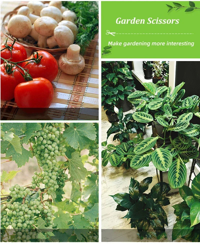 Tijeras de jardín para plantas en maceta, podadora de bonsái, tijeras de podar de flores para jardinería, recolector de frutas, huerto de granja disponible de acero inoxidable