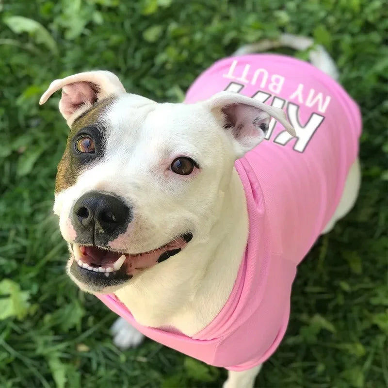 Perros grandes, medianos y pequeños, ropa cálida de terciopelo para mascotas, ropa para perros, sudaderas con capucha para perros, suéteres para perros, perros grandes